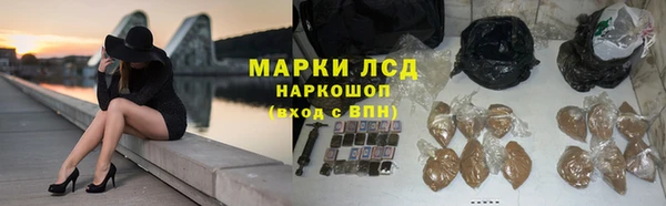 прущие грибы Заволжск