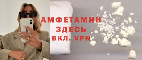 прущие грибы Заволжск