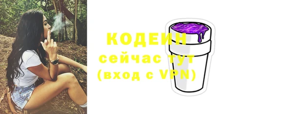прущие грибы Заволжск