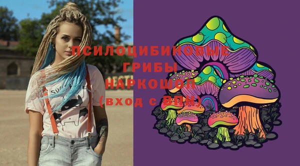 прущие грибы Заволжск