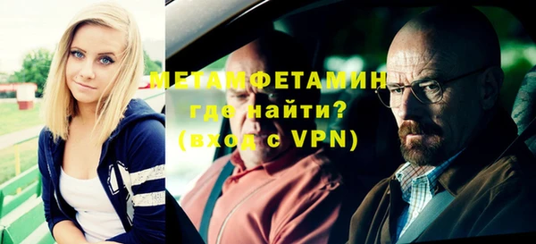 прущие грибы Заволжск