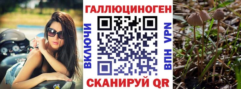 Купить закладки  Ирбит  Псилоцибиновые грибы мухоморы 